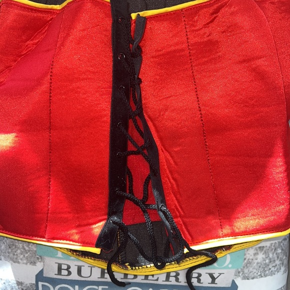 Batman and Robin Halloween Costume like new - Picture 5 of 9